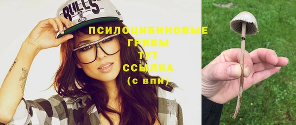 spice Арсеньев