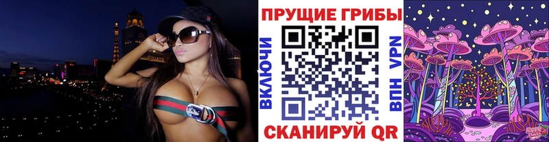 где найти   Устюжна  Галлюциногенные грибы мухоморы 